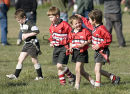 Ripper Rugby 25